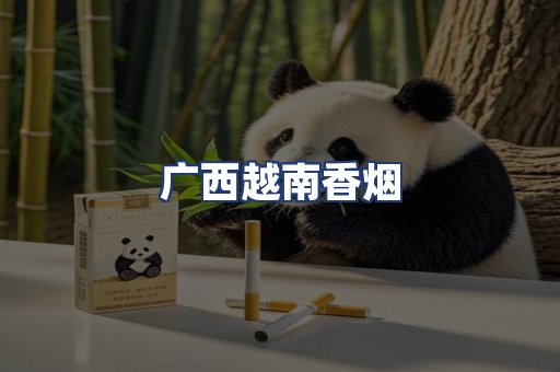 广西越南香烟